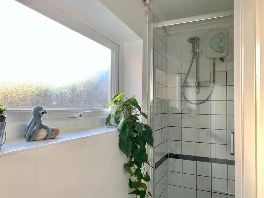 Cute Cottage 4 Mins From Cafes Station And Sea St Leonards-on-Sea Екстер'єр фото